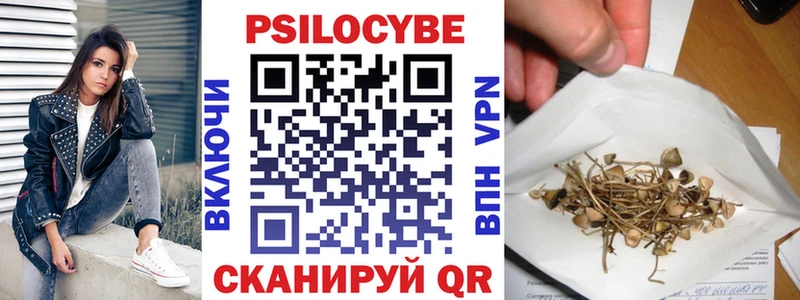 Галлюциногенные грибы Psilocybine cubensis  Борисоглебск 